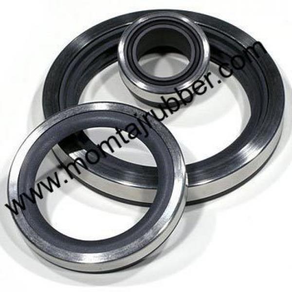 Rubber Oil Seals Manufacturers, Rubber Oil Seals Suppliers